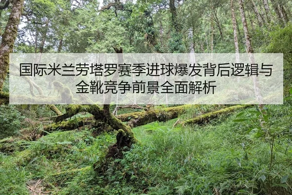 guo-ji-mi-lan-lao-ta-luo-sai-ji-jin-qiu-bao-fa-bei-hou-luo-ji-yu-jin-xue-jing-zheng-qian-jing-quan-mian-jie-xi-2-546.jpg